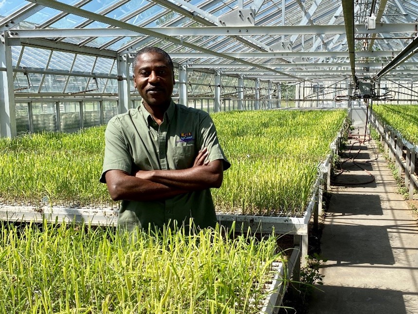 Man standing in a greenhouse with potted plants.